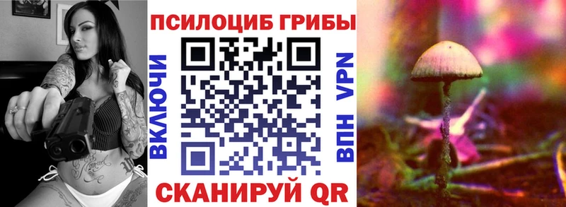 где найти наркотики Омск Псилоцибиновые грибы мицелий